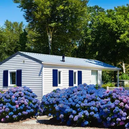 Intégration 5 AdobeStock 163547061